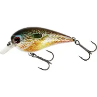 Westin BassBite Squarebill 6 cm Flytande Real Pumpkin