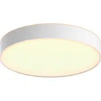 Philips Hue Enrave, Stor Taklampe - White Ambiance