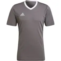 Adidas Entrada 22 Kortarmet T-skjorte