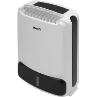 Wood's avfukter WDD80