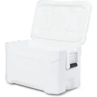 Igloo Profile Marine 50 47l Stiv Bærbar Kjøleboks