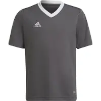 Adidas T-skjorte - ENT22 JSYY - Grå/Hvit - - 14 år (164) - T-skjorte