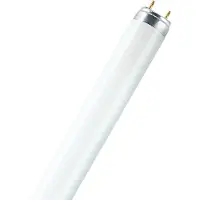 Osram T8 L 36W/840 Lumilux Cool White G13. 1200 mm