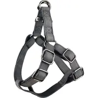 Flamingo Step And Go Delu Hundesele