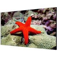 Hikvision Ds-d2055hr-g 55´´ 4k Led Skjerm