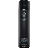 Paul Mitchell Awapuhi Wild Ginger hårspray, finishing, firm hold, 300 ml