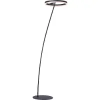Paul Neuhaus Titus LED-gulvlampe antrasitt dimmer