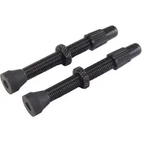 VAR Alloy Presta Ventiler 2 Enheter