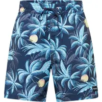 Hurley Cannonball Volley 17´´ Badebukse