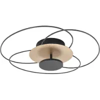 Highlight LED-taklampe Fiore, 2 700 K, svart/gull