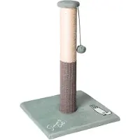 Karlie Simons Cats Scratcher