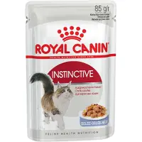 Royal Canin FHN Instinctive i gelé - våtfôr for voksne katter - 12x85g