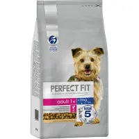 Perfect Fit Adult Hund (