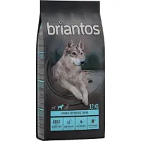 Briantos Adult Laks & Potet - Kornfri - 2 x 12 kg