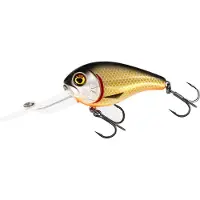 Westin MegaBite DR Crankbait 6 cm Floating Official Roach