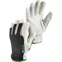 HestraPro HestraJob Cobalt Winter Arbeidshanske 12