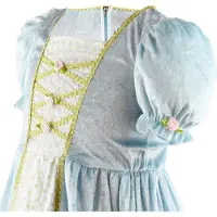 Den Goda Fen Prinsessekostyme