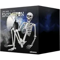 Mikamax Human-size Skeleton 1.70m