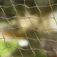 Zooplus Exclusive Sikkerhetsnett for katter - bitesikkert & trådforsterket - 4 x 3 m