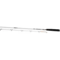 Daiwa Accudepth Trolling