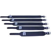 Alac Spårningshalsband Läder med Lekare Svart - 50cm