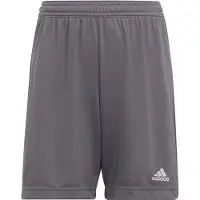 Adidas Shorts - Entrada 22 - Grå - - 8 år (128) - Shorts