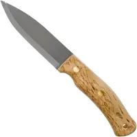 Casström No 10 SFK Birch/SS/FS