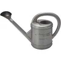 Prosperplast vannkanne CLASSICO 5 l - sølv