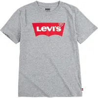 Levi's Batwing T-Skjorte Grey Heather (164 /14 år)