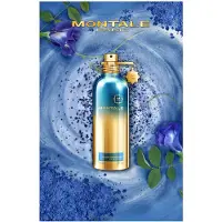 Montale Blue Matcha EDP U 100 ml