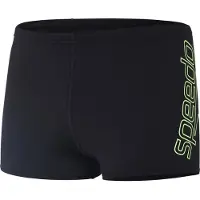 Speedo Boom Logo Placement Badeshorts Boxer