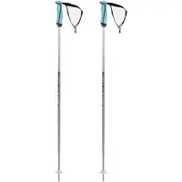 Völkl Phantastick 110 2023 Staver