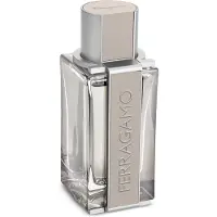 Salvatore Ferragamo Ferragamo Bright Leather Men 100ml Eau De Toilette