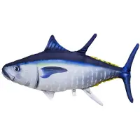 Gaby The Atlantic Bluefin Tuna Medium-pute