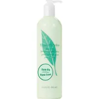 Elizabeth Arden Green Tea Body Lotion 500ml