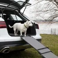 Artfex Hundramp universalmodell for bil