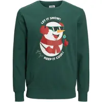 Jack & Jones Jortoon Collegegenser