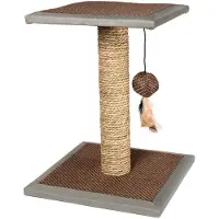 Karlie Segra Cats Scratcher