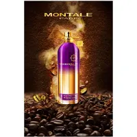 Montale Ristretto Intense Cafa Parfymevann 100ml