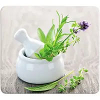 Wenko glass beskyttelsesplate HERB GARDEN til komfyr – stor,
