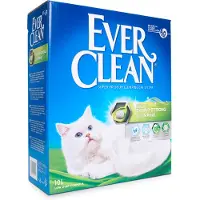 EverClean Extra strength Scented 10 L