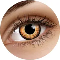 Maxvue Vision Fargede Linser Fancy Twilight