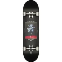 Globe G1 Palm Off 8.0" Komplette mønster