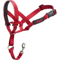 Company of animals Halti Treningshalsbånd