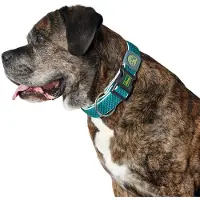 Hunter Pet Plus Thread Hundehalsbånd