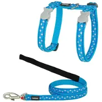 Red Dingo Style Star Kattsele