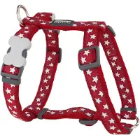 Red Dingo Style Star Hundesele
