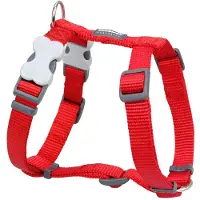 Red Dingo Smooth Hundesele