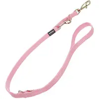 Red Dingo Fest 2 Kroker