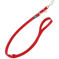 Red Dingo Fest 2 Kroker